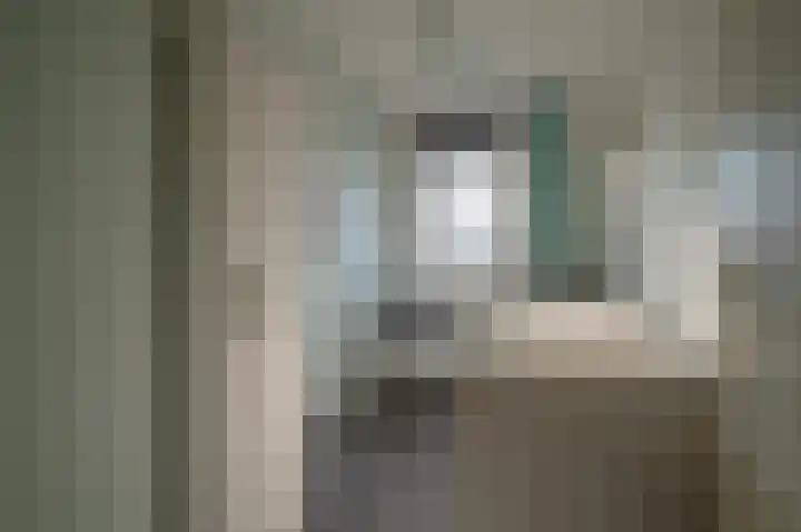 Patrijs 17 Staphorst thumbnail 19