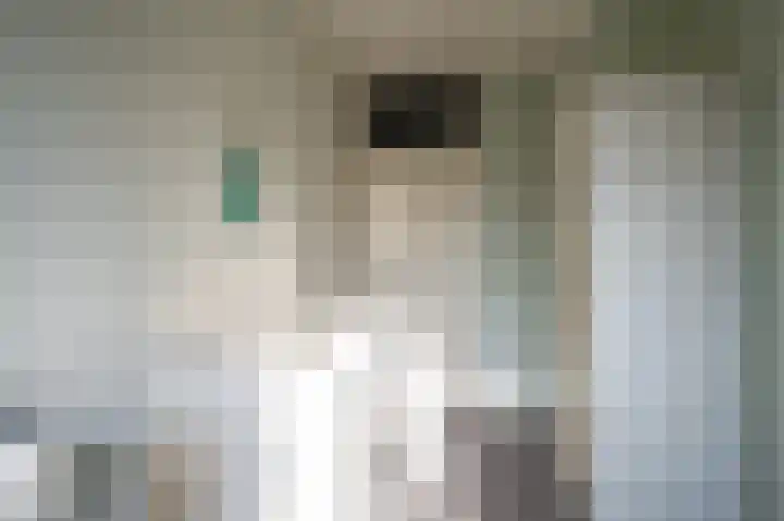 Patrijs 17 Staphorst thumbnail 20