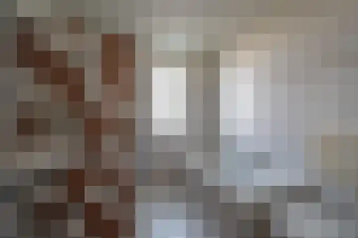 Patrijs 17 Staphorst thumbnail 23