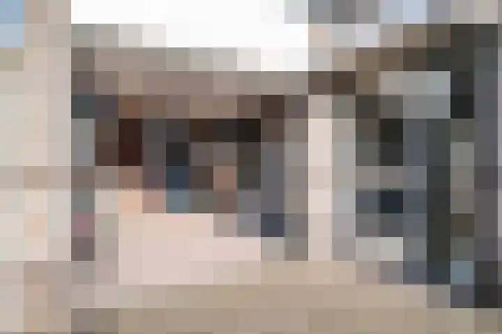 Patrijs 17 Staphorst thumbnail 33