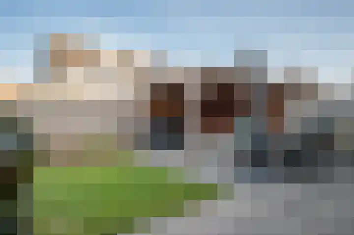 Patrijs 17 Staphorst thumbnail 34