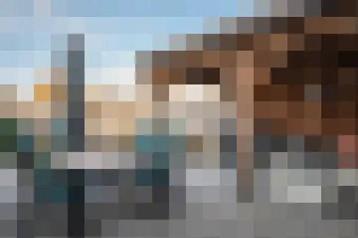 Patrijs 17 Staphorst thumbnail 36
