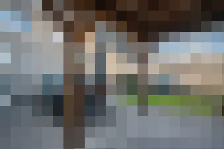 Patrijs 17 Staphorst thumbnail 37