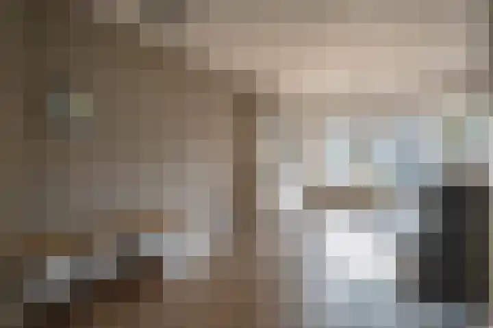 Patrijs 17 Staphorst thumbnail 4