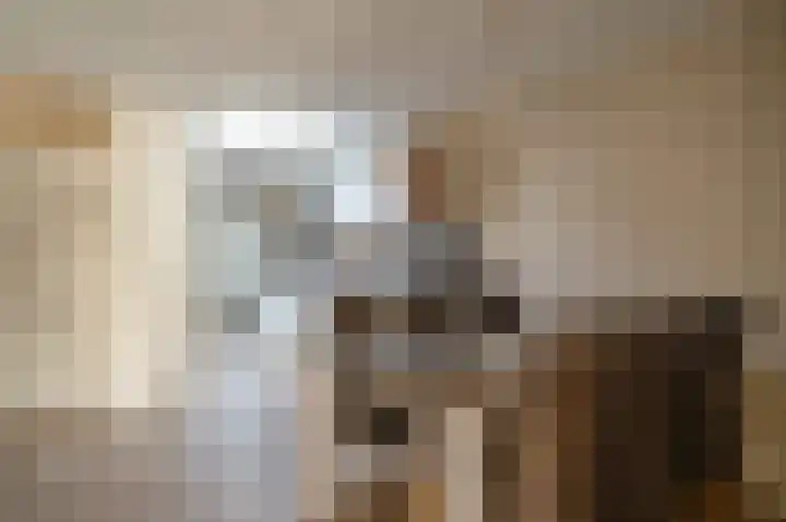 Patrijs 17 Staphorst thumbnail 9