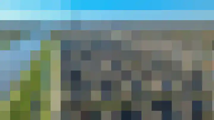 Patrijs 17 Ursem thumbnail 10