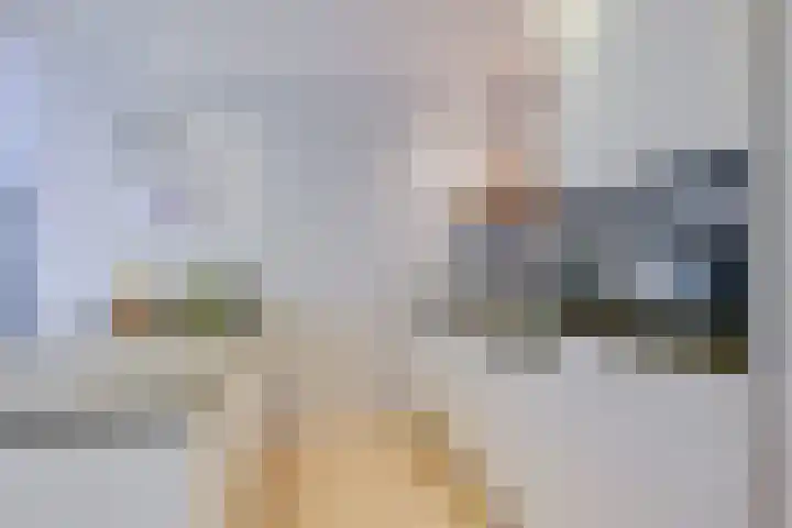 Patrijs 17 Ursem thumbnail 10