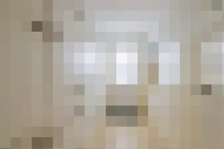 Patrijs 17 Ursem thumbnail 11