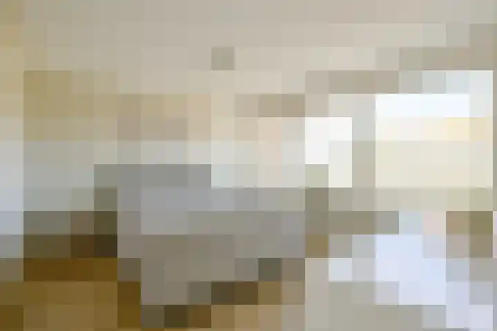 Patrijs 17 Ursem thumbnail 13