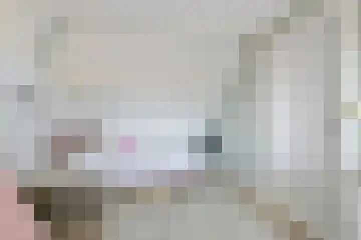 Patrijs 17 Ursem thumbnail 23
