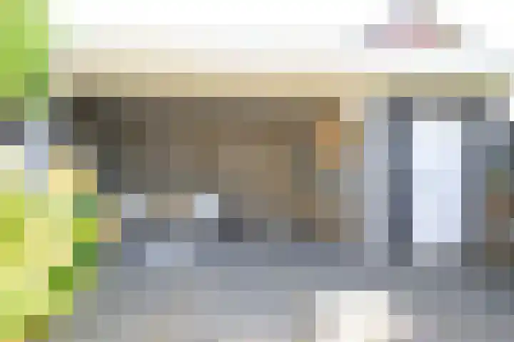 Patrijs 17 Ursem thumbnail 24