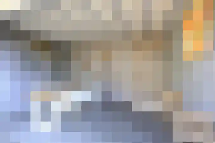 Patrijs 17 Ursem thumbnail 25
