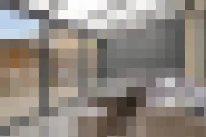 Patrijs 17 Ursem thumbnail 28