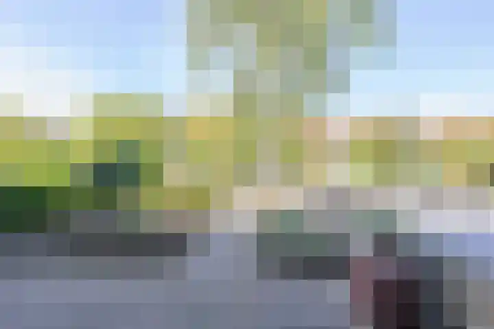 Patrijs 17 Ursem thumbnail 28