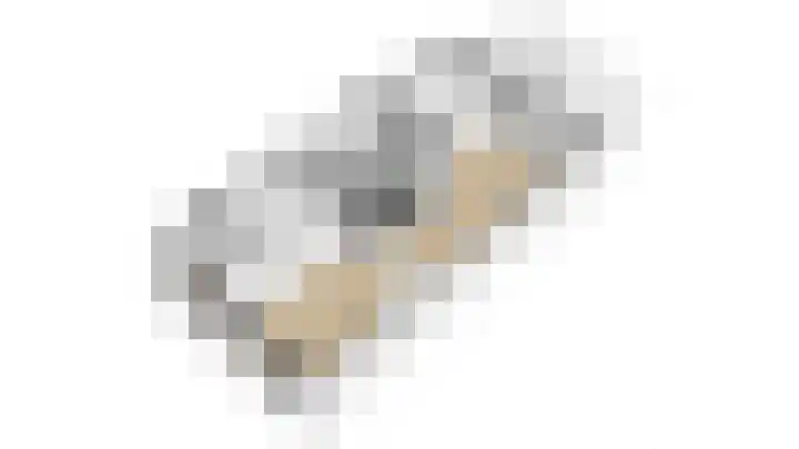 Patrijs 17 Ursem thumbnail 33