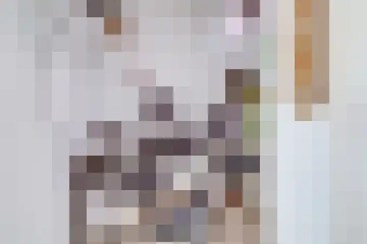 Patrijs 17 Ursem thumbnail 36