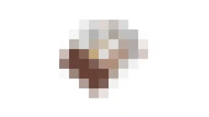 Patrijs 17 Ursem thumbnail 37