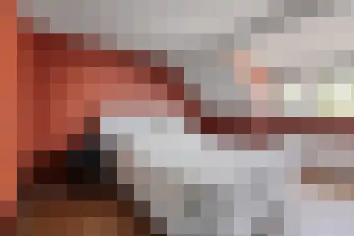 Patrijs 30 Etten-Leur thumbnail 15
