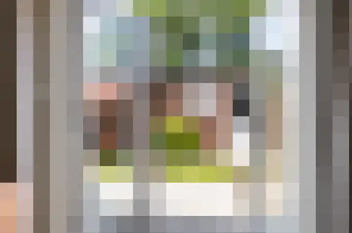 Patrijs 30 Etten-Leur thumbnail 27