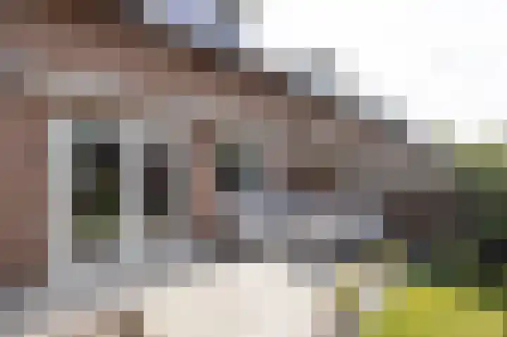 Patrijs 30 Etten-Leur thumbnail 31