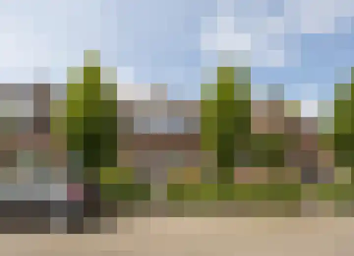 Patrijs 30 Etten-Leur thumbnail 33