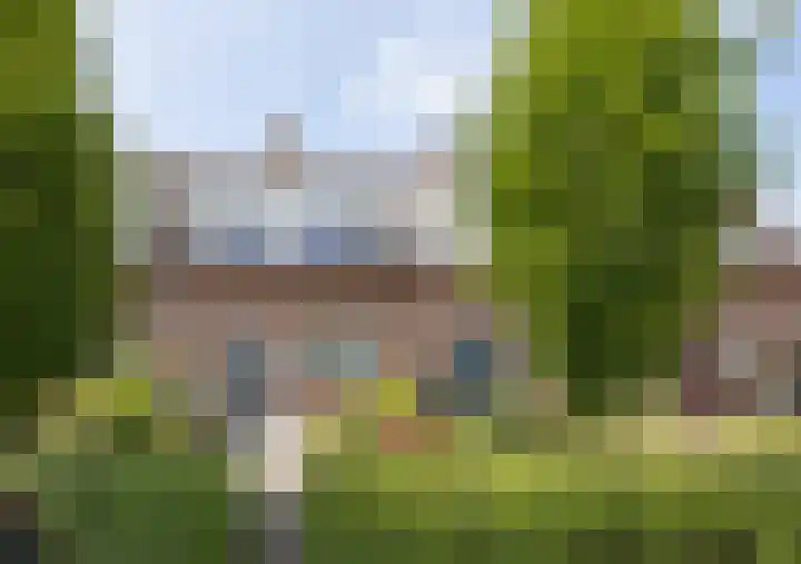 Patrijs 30 Etten-Leur thumbnail 39
