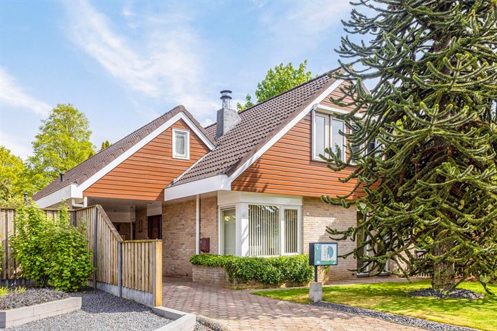 Patrijs 52 in Raalte foto