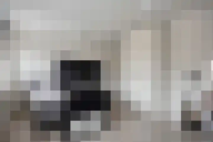 Patrijs 9 Veldhoven thumbnail 18