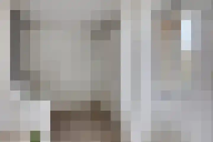 Patrijs 9 Veldhoven thumbnail 20