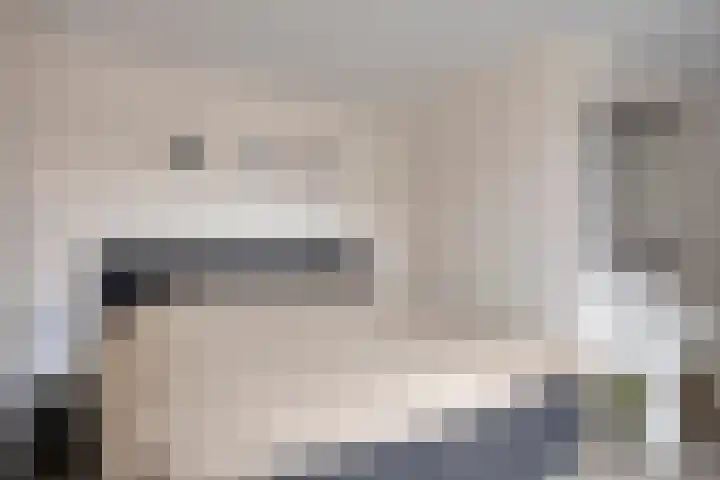 Patrijs 9 Veldhoven thumbnail 21
