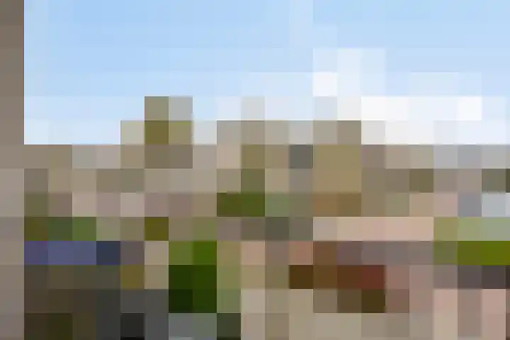 Patrijs 9 Veldhoven thumbnail 23