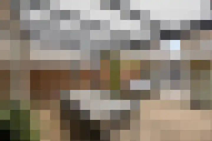 Patrijs 9 Veldhoven thumbnail 34