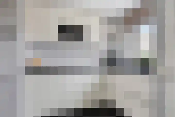Patrijs 9 Veldhoven thumbnail 6