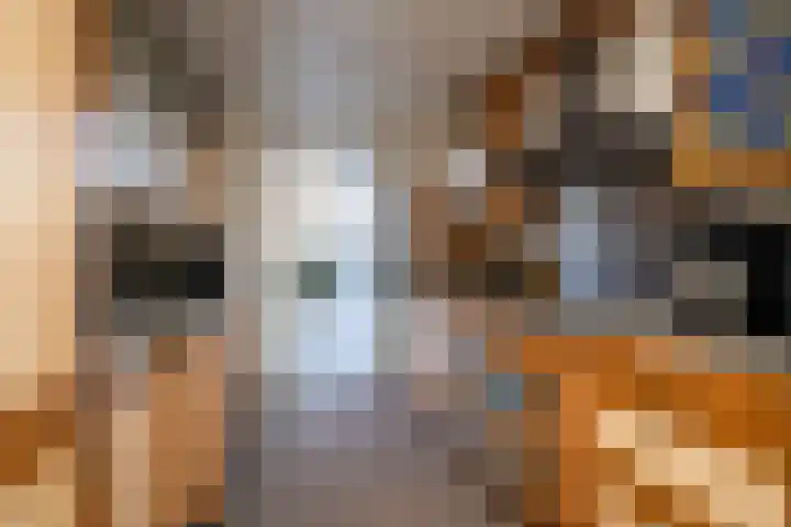 Patrijslaan 30 Honselersdijk thumbnail 15