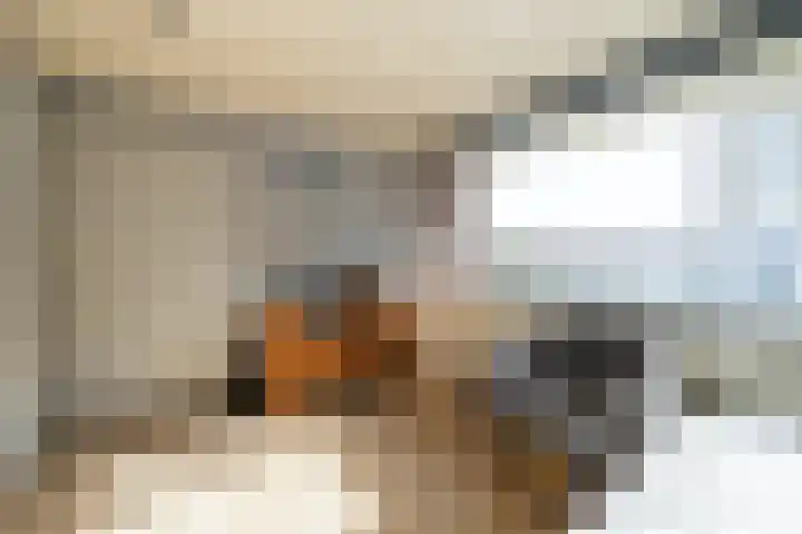Patrijslaan 30 Honselersdijk thumbnail 21