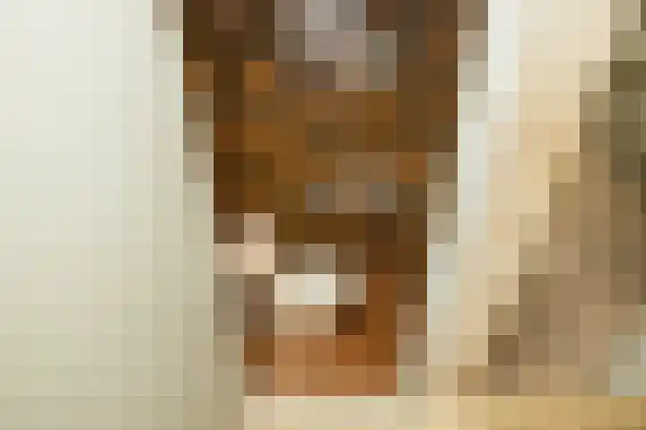 Patrijslaan 30 Honselersdijk thumbnail 30