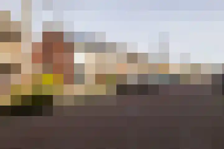 Patrijslaan 30 Honselersdijk thumbnail 39