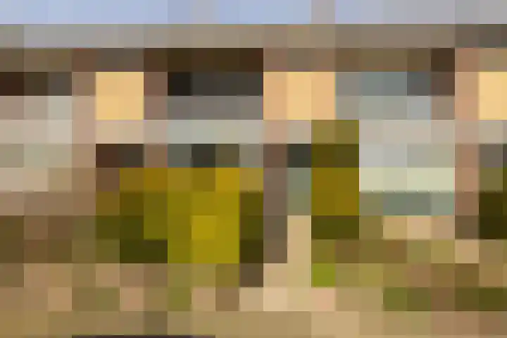 Patrijslaan 30 Honselersdijk thumbnail 6