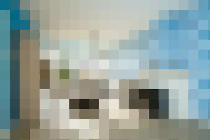 Patrijslaan 30 Honselersdijk thumbnail 9