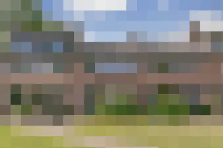 Patrijslaan 80 Dieren