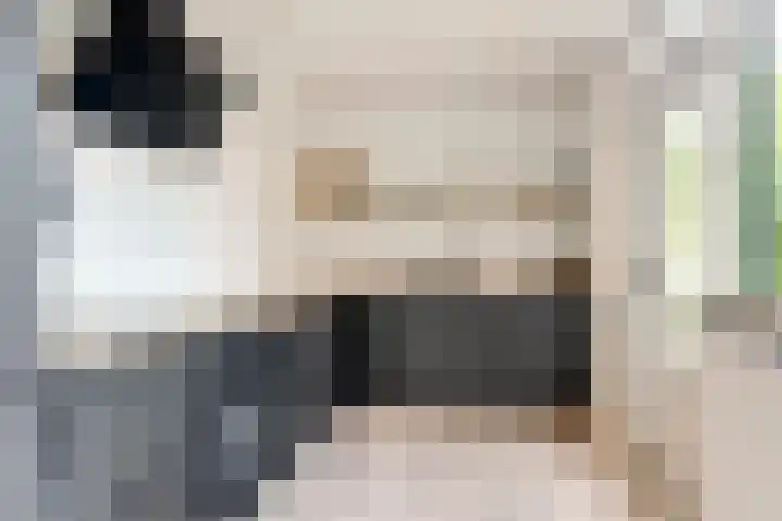 Patrijslaan 80 Dieren thumbnail 11
