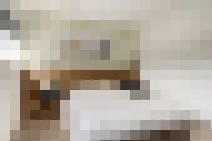 Patrijslaan 80 Dieren thumbnail 18