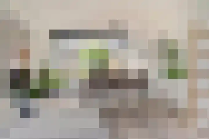 Patrijslaan 80 Dieren thumbnail 6
