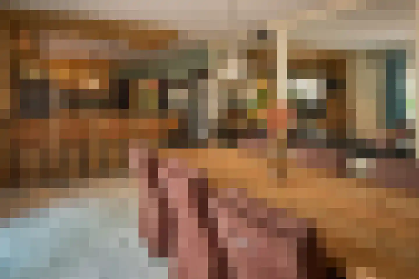 Patrijslaan 9 Best thumbnail 12