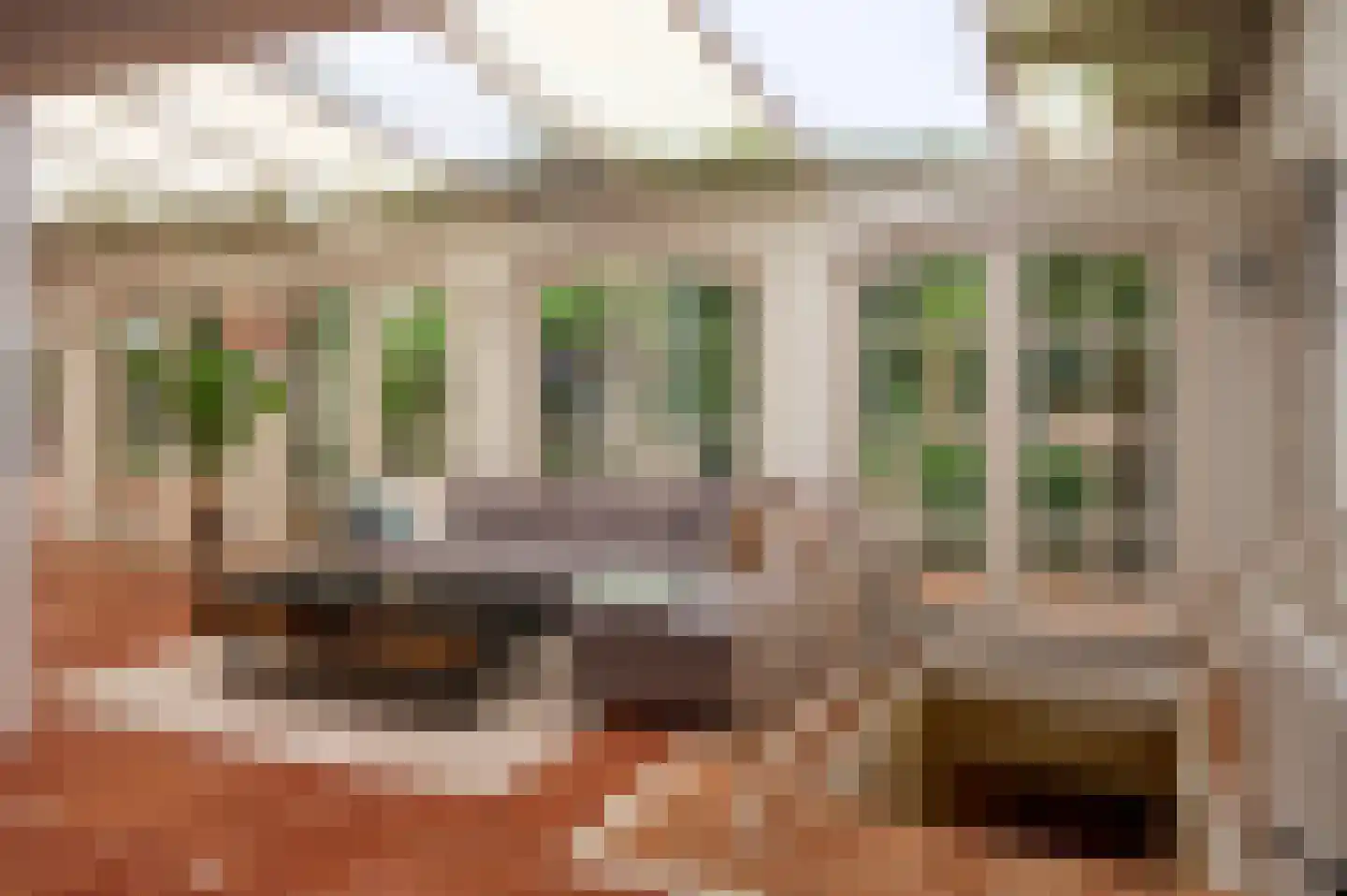 Patrijslaan 9 Best thumbnail 17