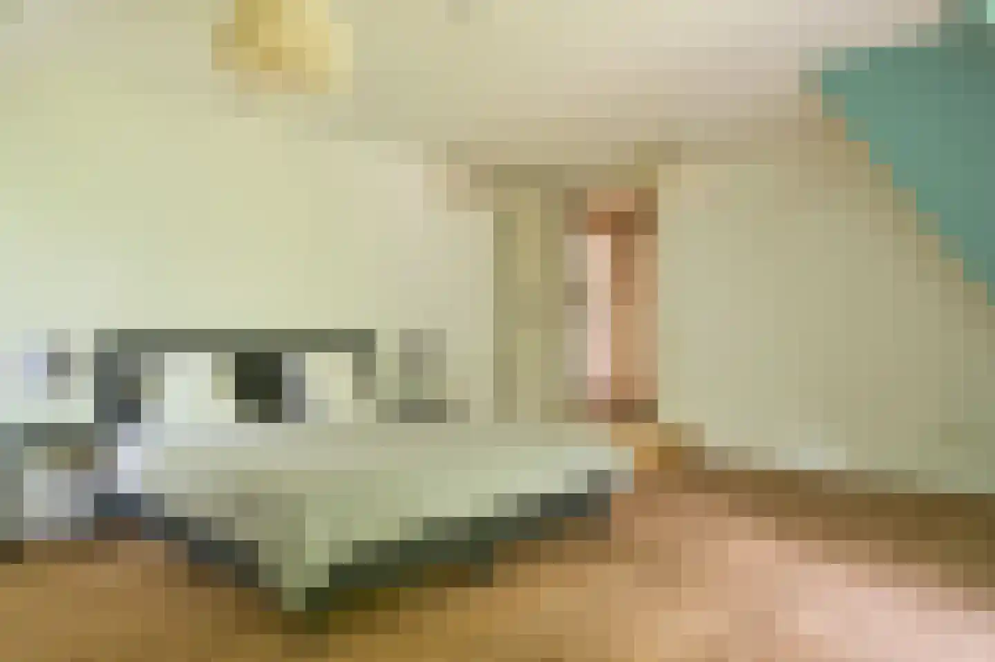 Patrijslaan 9 Best thumbnail 33