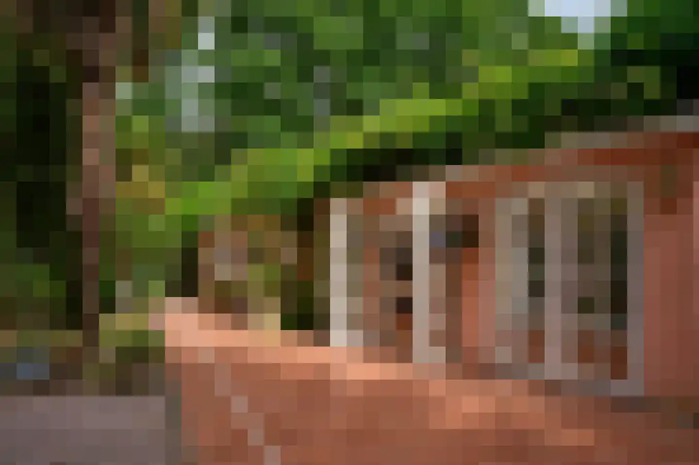 Patrijslaan 9 Best thumbnail 37