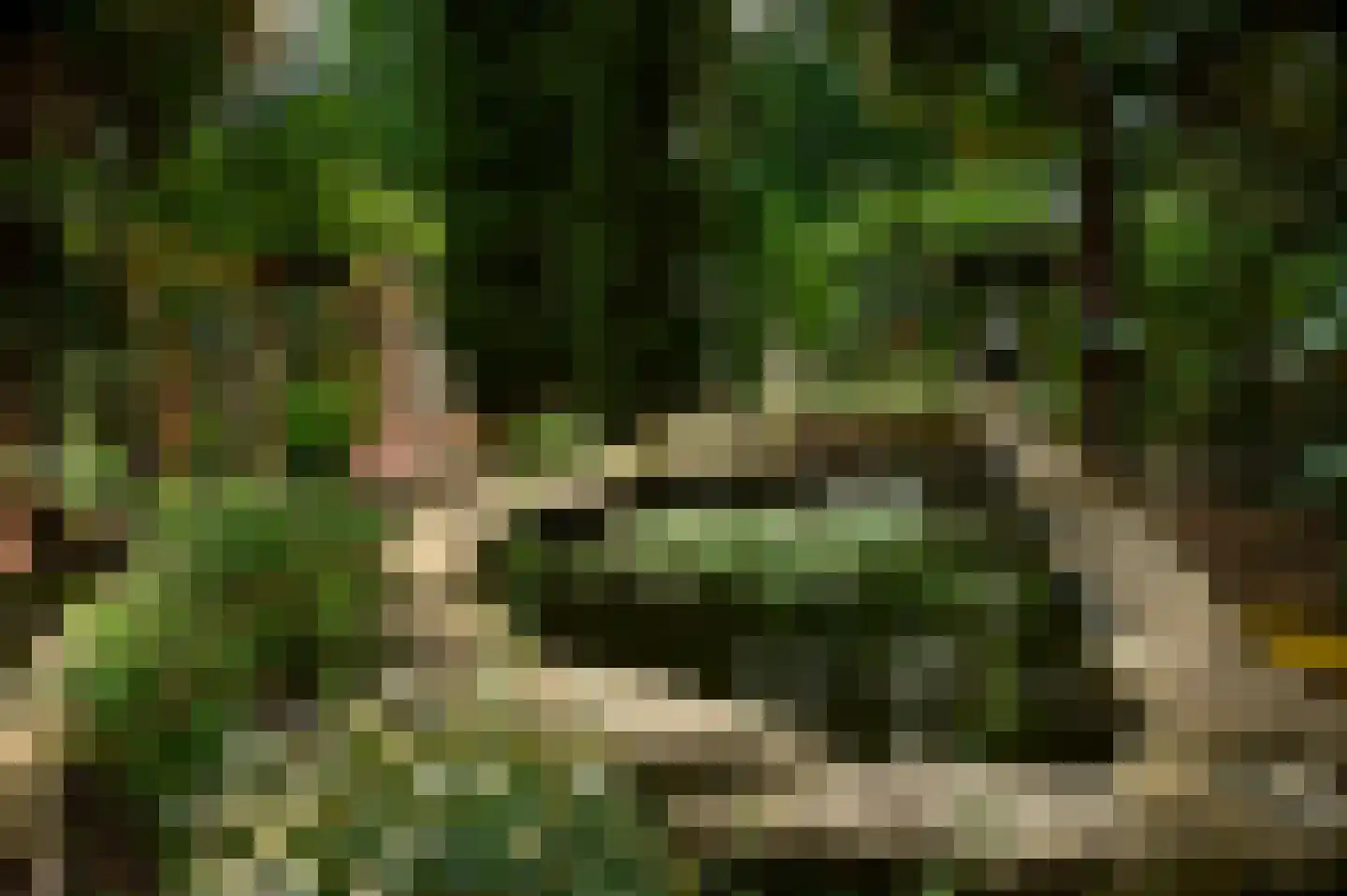 Patrijslaan 9 Best thumbnail 42