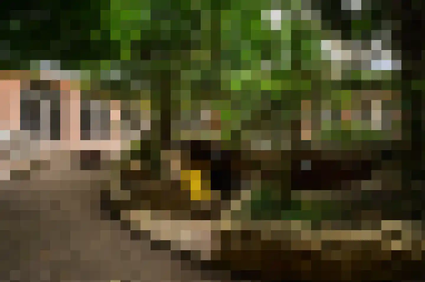 Patrijslaan 9 Best thumbnail 43