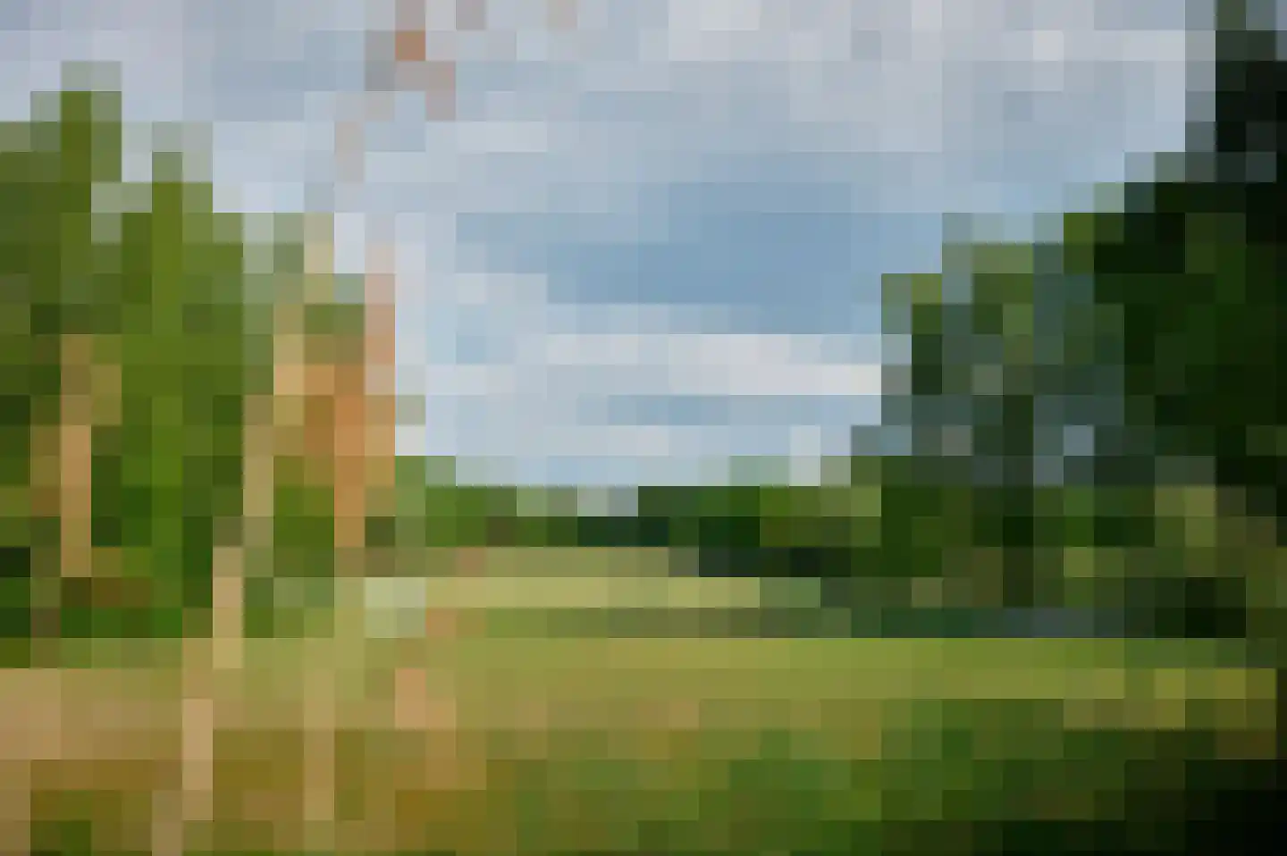 Patrijslaan 9 Best thumbnail 45